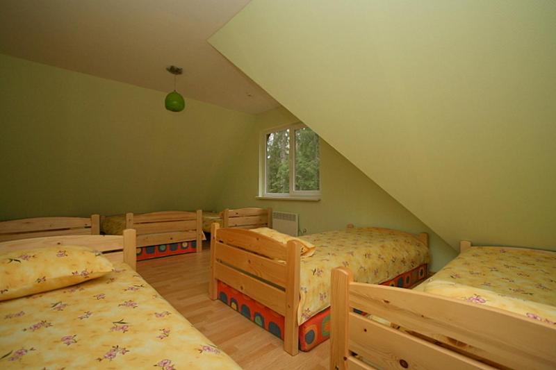 Guest House Gaujaspriedes Gauja  エクステリア 写真